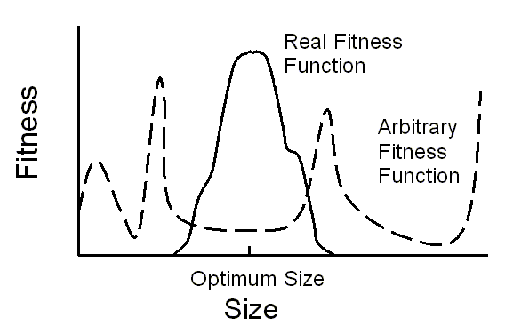 Fitness Function