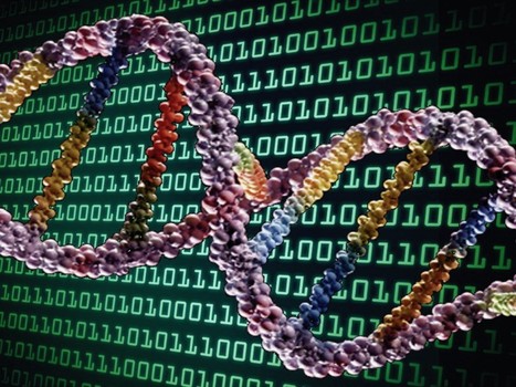 DNA binary